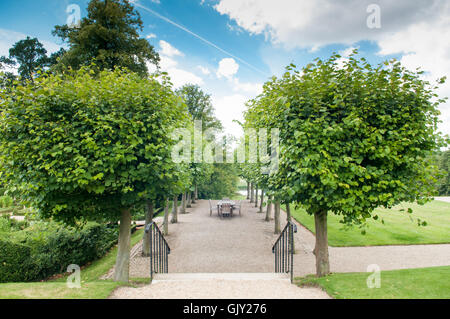 Formaler Garten Eingang mit geformten Hecken und Bäumen Stockfoto