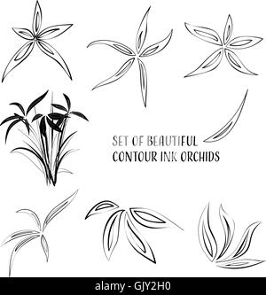 Kontur Tinte Blumen Stock Vektor