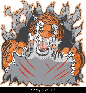 Cartoon Clip Art Illustration Vorlage von einem Tiger Maskottchen Rippen oder kratzen aus dem Hintergrund. Stock Vektor