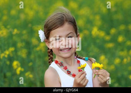 Blume Blume Pflanze Stockfoto