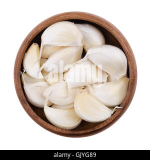 Knoblauchzehen in einer Schüssel auf weißem Hintergrund, Allium Sativum, wird in der Küche als Gewürz oder als Gewürz und Medizin verwendet. Stockfoto