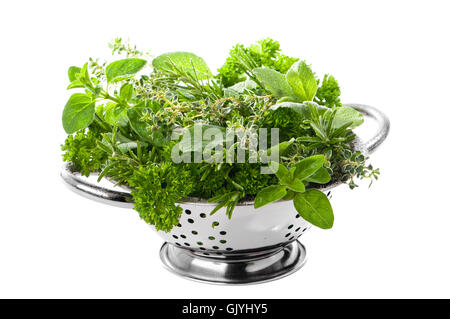 gemischte frische Kräuter Stockfoto