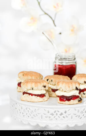 Sahnescones Marmelade Stockfoto