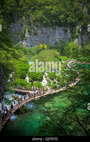 Touristen Flanieren auf Holzstegen gesäumt von Petasites, entlang des Flusses Korana (Nationalpark Plitvicer Seen - Kroatien). Stockfoto