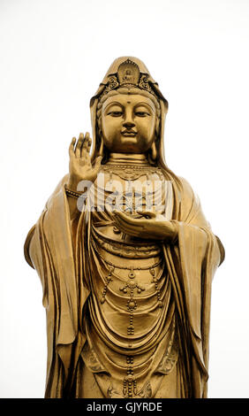 die großen Bronze Guanyin Buddha-Statue auf der Insel Putuoshan befindet sich in der Provinz Zhejiang China. Stockfoto