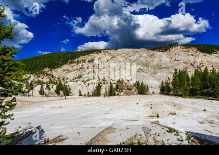 Dies ist eine Ansicht der Roaring Mountain im Norris-Geysir-Becken-Bereich auf der Westseite des Yellowstone-Nationalpark, Wyoming, USA Stockfoto