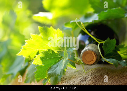 Blätter zu feiern, schwelgen Stockfoto