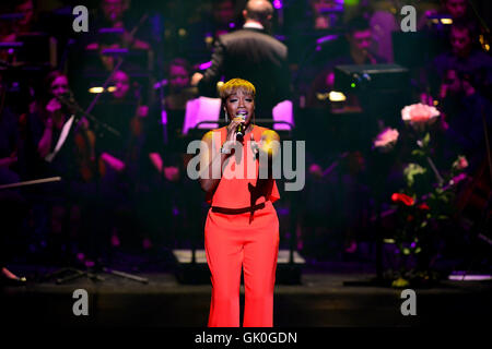 Adrienne Arsht 10. Jubiläums-Gala-Konzert an Adrienne Arsht Center für darstellende Künste ZIFF Ballet Opera House - Performances mit: Estelle Where: Miami, Florida, Vereinigte Staaten, wann: 21. April 2016 Stockfoto