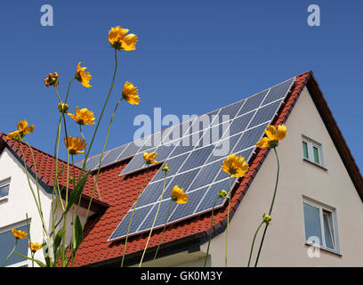Sonnenkollektoren auf dem Dach hinter Blumen Stockfoto