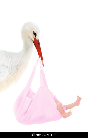 Storch mit Baby in Rosa Tasche Stockfoto