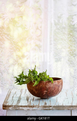 Bouquet von Frische aromatische Minze Kräuter im Halbjahr Kokosnußoberteil auf alten Holztisch mit Fenster im Hintergrund. Rustikaler Stil, natur Stockfoto