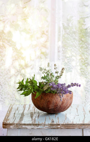 Bouquet von frischen aromatischen Kräuter aus dem Garten Minze, Thymian und Lavendel in der Hälfte der Kokosnussschale auf alten Holztisch mit Fenster hinten Stockfoto