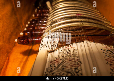 Instrument bei der Sitar, einem traditionellen indischen musikalischen Saiteninstrument. Close-up Stockfoto