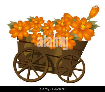 Blume Pflanze Holz Stockfoto