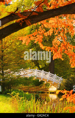 Woerlitzer Park Weisse Bruecke - englische Garten von Wörlitz, die weiße Brücke 04 Stockfoto