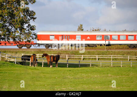 Eisenbahn Lokomotive Zug Stockfoto