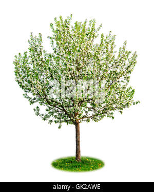 große große große Stockfoto