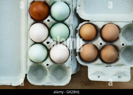 Bio Ei Stilleben, darunter auch Coloful Araucana Hühnereiern auf der linken Seite und kleinen Perlhühner Eiern auf der rechten Seite. Stockfoto