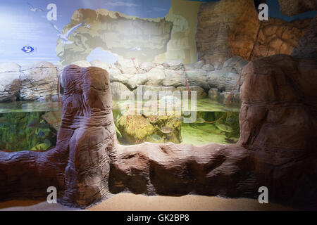 Sea Life Porto Aquarium Interieur in Porto, Portugal, Europa Stockfoto