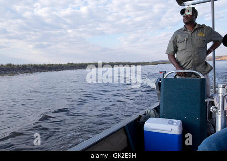 Ein Wildhüter navigiert während einer Pirschfahrt Safari auf dem Chobe River in Botswana Stockfoto