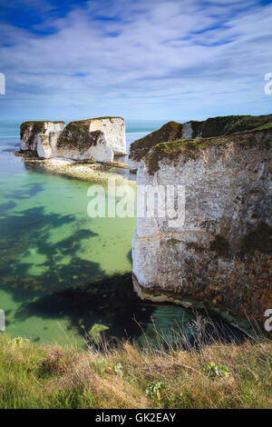 Old Harry Rocks an Jurassic Küste von Dorset. Stockfoto