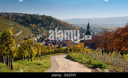 kirchliche Blätter Weinberg Stockfoto