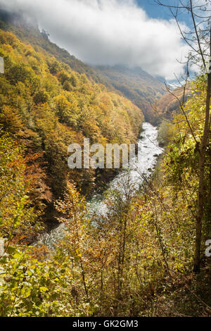 Landschaft mit Bergen und Schlucht des Flusses Tara, Montenegro Stockfoto