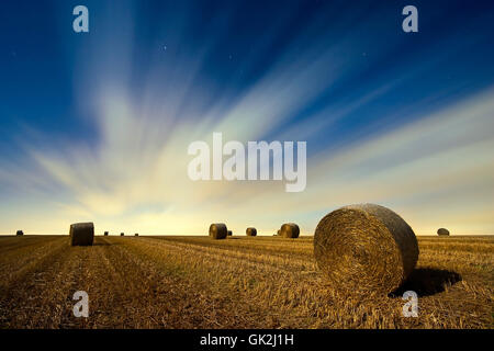 Nacht-Nacht-Feld Stockfoto