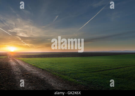 Sonnenaufgang über einem Feld am Morgen Stockfoto