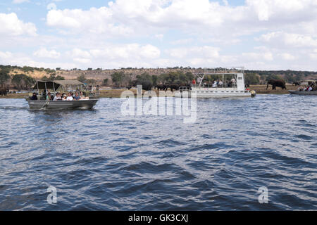 Touristen-Tierbeobachtungen auf Safaribooten auf dem Chobe Fluss Botswana Afrika als eine Herde Elefanten Getränk am Fluss. Stockfoto