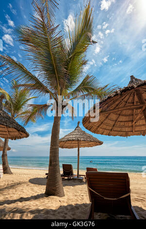 Palme wächst auf Cua Dai Beach. Hoi An, Provinz Quang Nam, Vietnam. Stockfoto