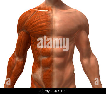 Bildung Gesundheitssport Stockfoto