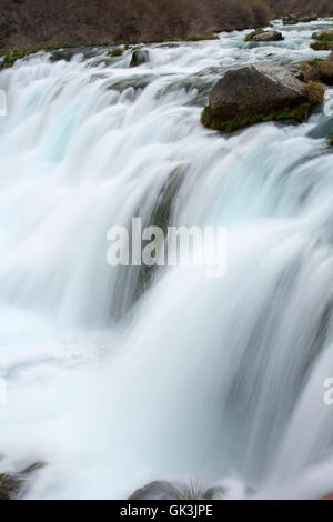 Wasserfall in Box Canyon, tausend Springs State Park, Earl M. Hardy Kastenfrühlinge Canyon Natur Reservat in Idaho Stockfoto