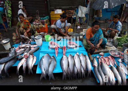 10. März 2012, Kalkutta, Westbengalen, Indien---Kalkutta, Westbengalen, Indien---Bild von Jeremy Horner © Stockfoto