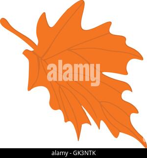 Ahornholz-Blatt-Vektor. Blätter im Herbst. Baum Blätter Vektor. Herbst-Blatt isoliert. Stock Vektor