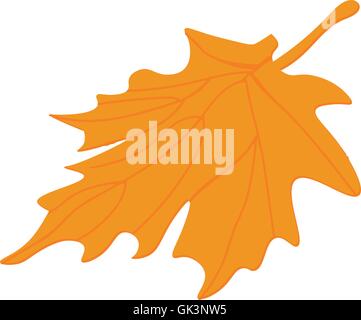 Ahornholz-Blatt-Vektor. Blätter im Herbst. Baum Blätter Vektor. Herbst-Blatt isoliert. Stock Vektor