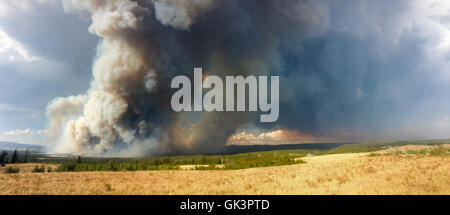 Rauch Vom Feuer Im Yellowstone National Park Stockfotografie Alamy