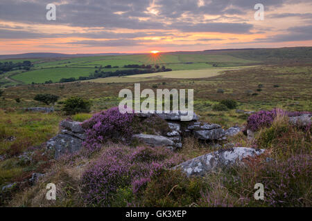 Letztes Licht eines anderen auf der Ostseite des Bodmin Moor Stockfoto