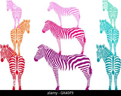 bunte Zebras stehend, Seiten- und Rückansicht, Vektor-illustration Stock Vektor