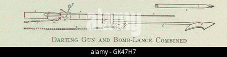 Ein Foto, das eine Kombination aus einer Pistole und einer Bombenlanze zeigt, die bei der Seejagd verwendet wird. Das Geschützrohr ist etwa 20 Zoll lang und auf einem Eisenpfahl montiert, was seine Funktion bei der Jagd nach Harpunen andeutet. Stockfoto