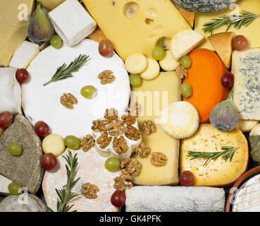 Käse-Stillleben-Essen Stockfoto