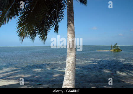 2004-Tsunami-Schäden auf Khollofushi Insel, Malediven. Stockfoto