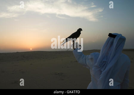 2006, Abu Dhabi, Vereinigte Arabische Emirate---Just vor Sonnenuntergang, eine Gruppe von jungen emiratischen Männer, Tee trinken und Zug versammeln ihre Stockfoto