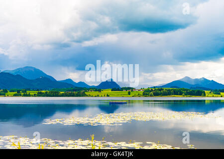 See mit Lilien und Berge im Wasser gespiegelt Stockfoto