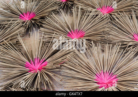 26. März 2007, Hue, Vietnam---Bundles von Räucherstäbchen trocknen---Bild von Jeremy Horner © Stockfoto