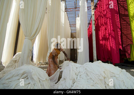 Indien---Frau trocknen frisch gefärbt und bedruckt erhöhten Bambus Regale---Bild von © Jeremy Horner sarees Stockfoto