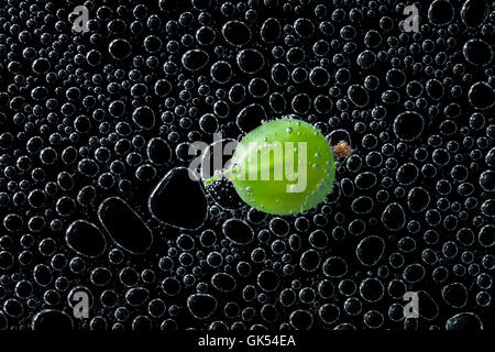 Stachelbeeren Früchte in Mineralwasser, eine Reihe von Fotos. Close-up kohlensäurehaltiges Wasser vor schwarzem Hintergrund Stockfoto