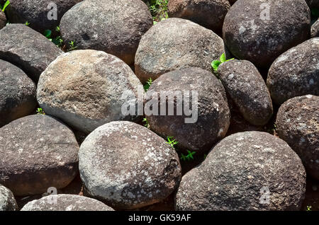 Zusammenfassung Hintergrund mit trockenen Runde schwach Stockfoto