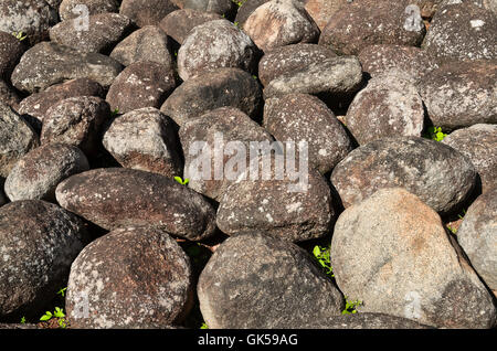 Zusammenfassung Hintergrund mit trockenen Runde schwach Stockfoto