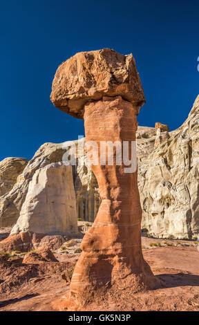 Hoodoo, Dakota Formation Boulder auf dem Entrada Sandsteinsockel, Rimrock Hoodoos Area, Cockscomb Wilderness Study Area, Utah, USA Stockfoto